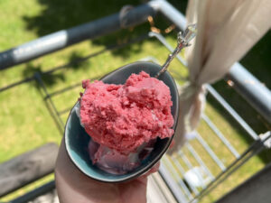 Strawberry Frozen Yogurt – Ninja Creami Recipe
