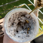 Toffee Ice Cream – Ninja Creami Recipe