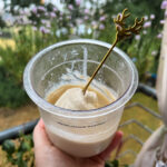 Cookies and Cream Ice Cream – High Protein Ninja Creami Recipe